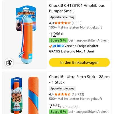 Wasserspielzeug zum Apportieren gesucht-Beitrag-Bild