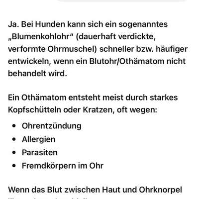 Blutohr -Erfahrungen, Hilfe?-Beitrag-Bild
