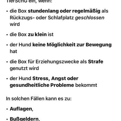 Welpe beisst nach Ausflügen an unterschiedliche Orte-Beitrag-Bild
