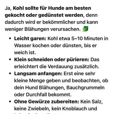 Labrador muss abnehmen 5kg-Beitrag-Bild