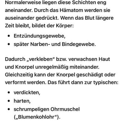Blutohr -Erfahrungen, Hilfe?-Beitrag-Bild