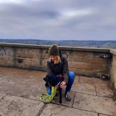 Hundetreffen-Spielrunde, Gassi treffen