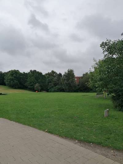 Hundeauslaufgebiet-Böverstpark/Stückweg-Bild