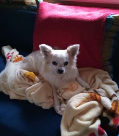 Das erste Foto-Beitrag-Bild