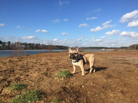 Zeigt mir eure Lieblingsfotos ♡♡-Beitrag-Bild