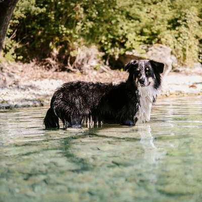 Tierfotografen-Lq Fotografie-Bild