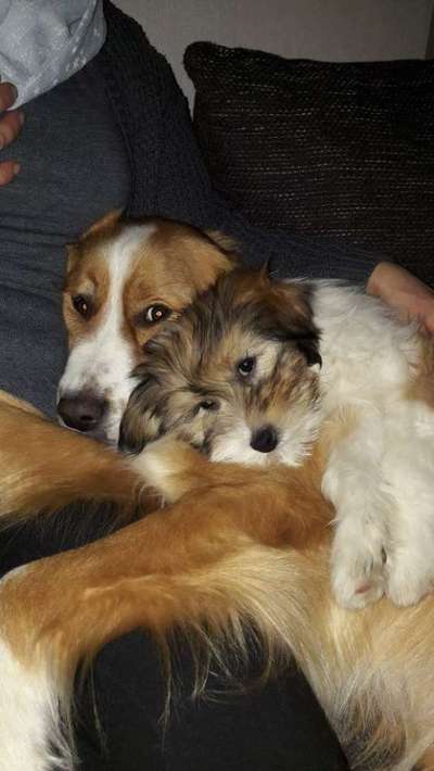 Fotochallange Nummer 5-Beitrag-Bild