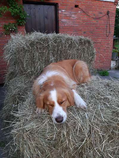 CHALLENGE NR. 34 - Liege-/Schlafpositionen-Beitrag-Bild