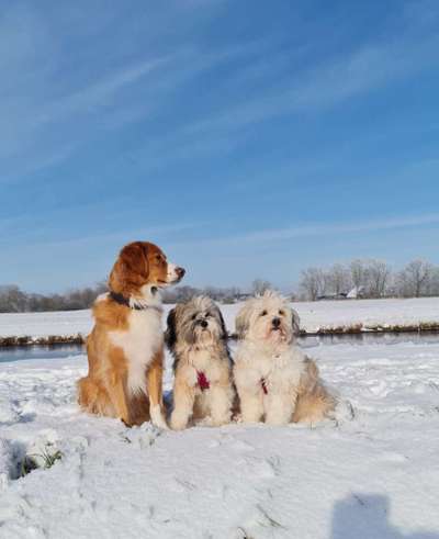 Handy-Foto-Challange Nr. 8-Beitrag-Bild