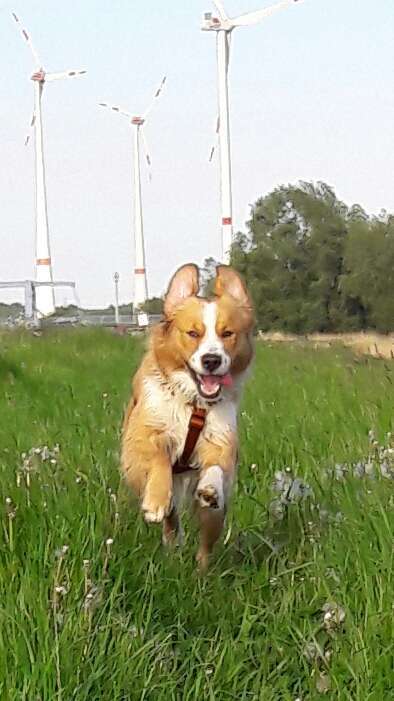 Foto-Challenge Nr. 90: Lebensfreude-Beitrag-Bild