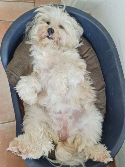 CHALLENGE NR. 34 - Liege-/Schlafpositionen-Beitrag-Bild