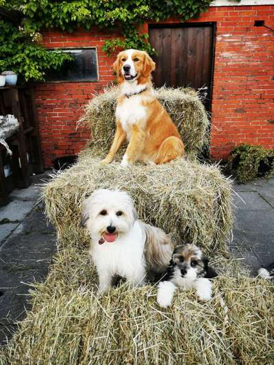 Lieblingsbild :D-Beitrag-Bild