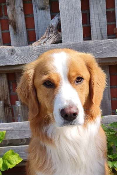 Fotochallange Nr. 57     PORTRÄT.   Beendet!!!!!!!!-Beitrag-Bild