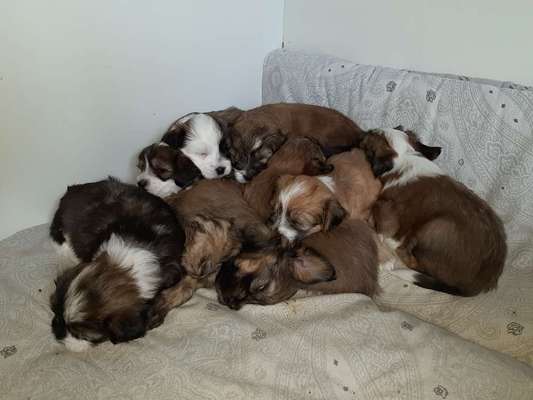 CHALLENGE NR. 34 - Liege-/Schlafpositionen-Beitrag-Bild