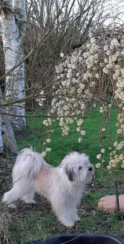 Fotochallenge 78

Es grünt und blüht-Beitrag-Bild