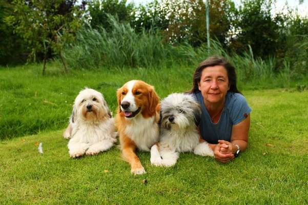 Handyfoto challenge Nr.7-Beitrag-Bild