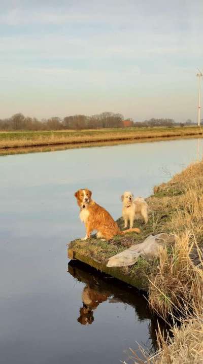 Fotochallenge No. 26                                     Wald und Wiese-Beitrag-Bild