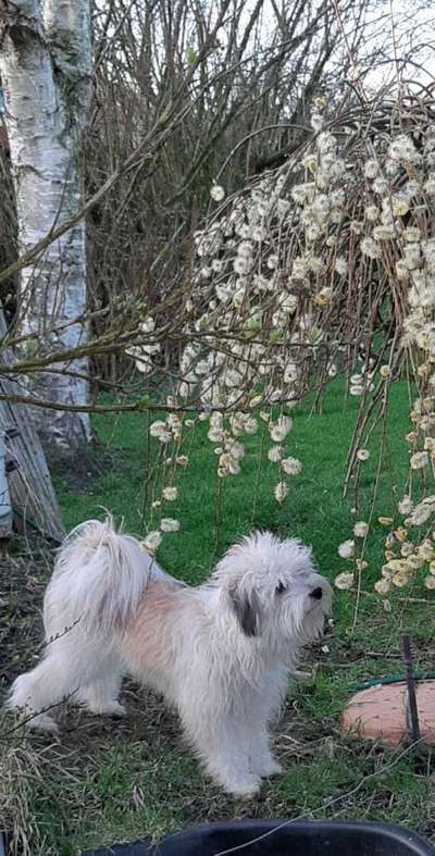 Fotochallenge No. 26                                     Wald und Wiese-Beitrag-Bild