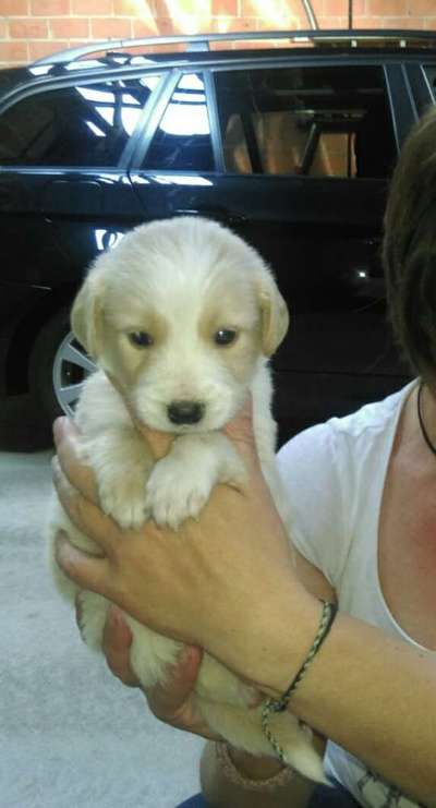 Das erste Foto-Beitrag-Bild