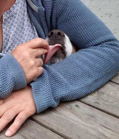 Fotochallenge Nr. 59 - Mein Hund zeigt die Zunge-Beitrag-Bild