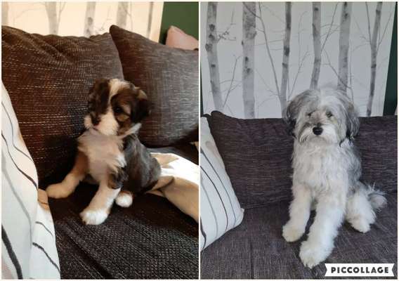 Vorher.... Nachher-Beitrag-Bild