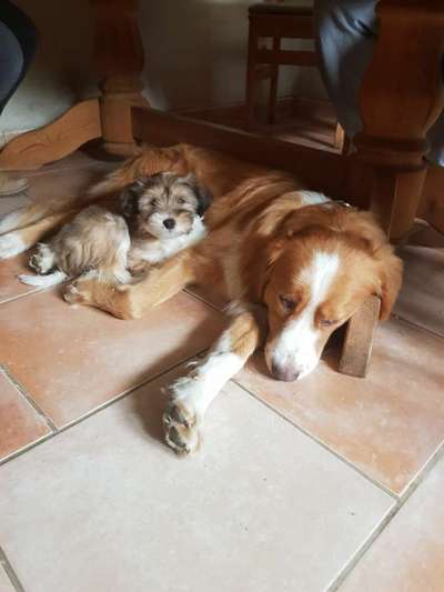 Das erste Foto-Beitrag-Bild