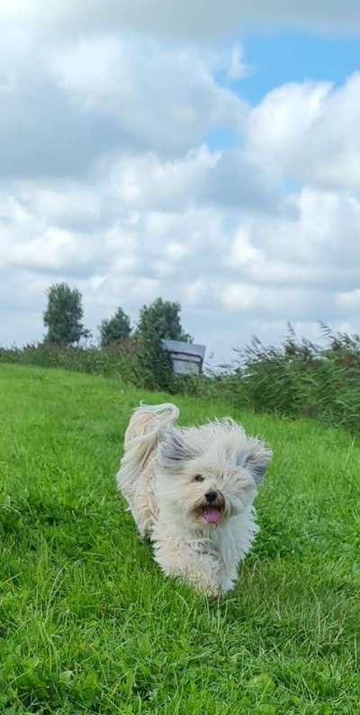 Foto-Challenge Nr. 90: Lebensfreude-Beitrag-Bild