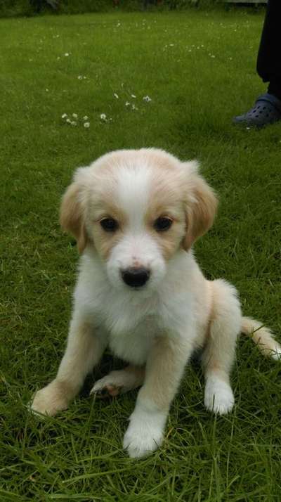 Fotochallange Nummer 5-Beitrag-Bild