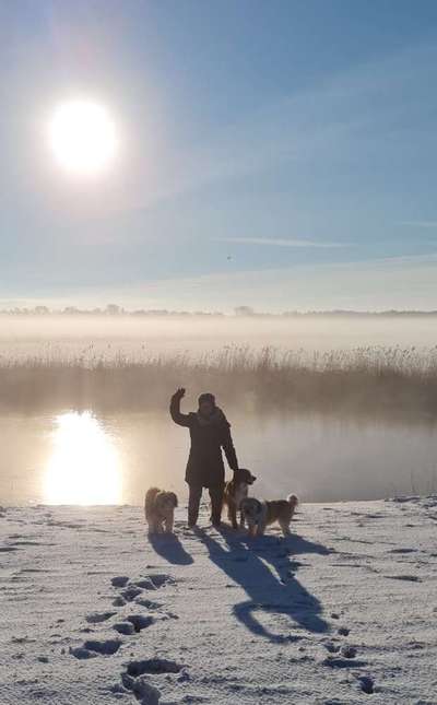 Handyfoto Challange  - Winter,Schnee-Beitrag-Bild