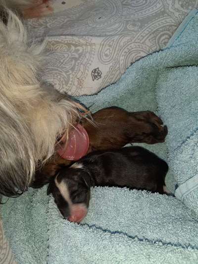 Fotochallange Nummer 5-Beitrag-Bild