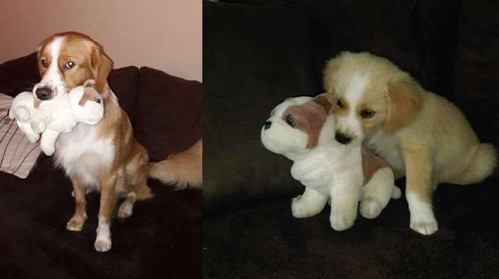 Vorher.... Nachher-Beitrag-Bild