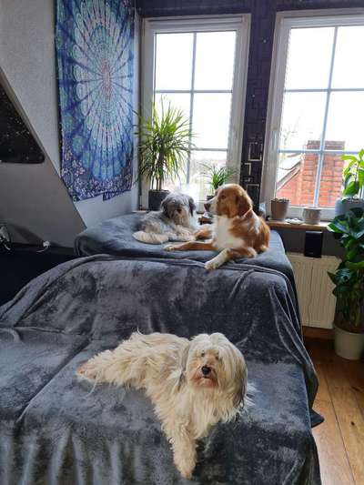 Foto Challange Nr.80-Beitrag-Bild