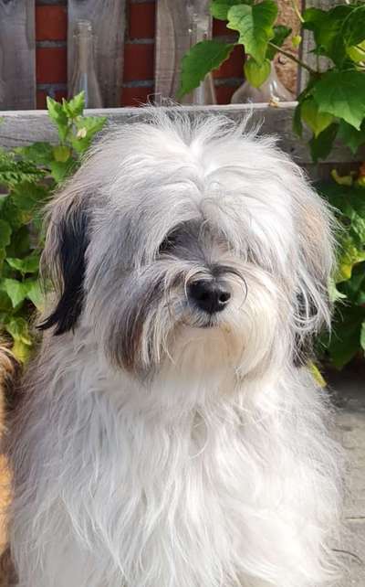 Fotochallange Nr. 57     PORTRÄT.   Beendet!!!!!!!!-Beitrag-Bild