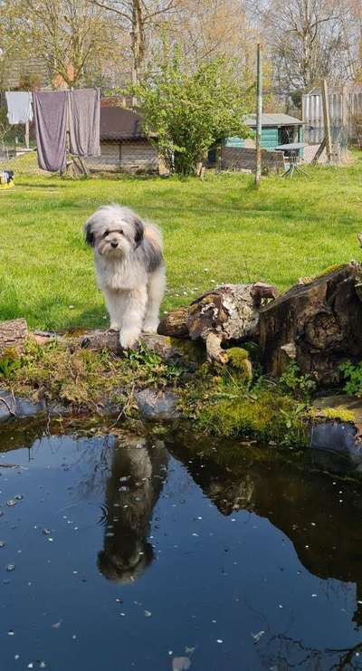 Fotochallenge No. 26                                     Wald und Wiese-Beitrag-Bild