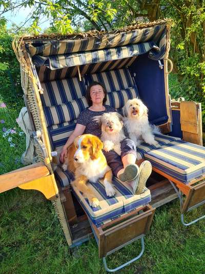 Challenge 33 - Du und dein Hund-Beitrag-Bild