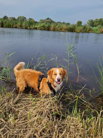 FOTOCHALLANGE NR.71 BADEFREUDE-Beitrag-Bild