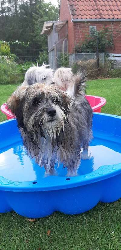 FOTOCHALLANGE NR.71 BADEFREUDE-Beitrag-Bild