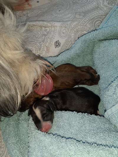 Das erste Foto-Beitrag-Bild