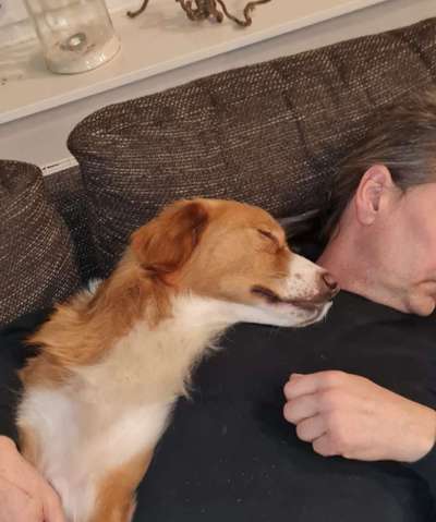 FOTO-Challenge  NR. 91: Die pure Entspannung-Beitrag-Bild