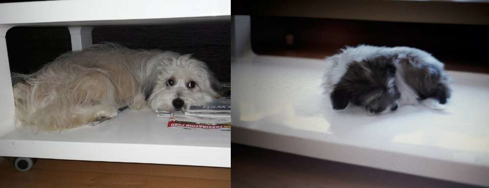 Vorher.... Nachher-Beitrag-Bild