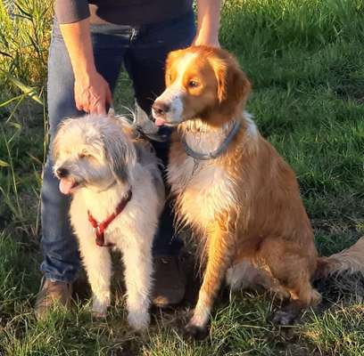 Hier ist der Spaßthread. Zum Schmunzeln und Kaputtlachen-Beitrag-Bild