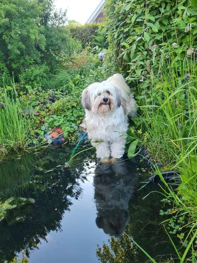 FOTOCHALLANGE NR.71 BADEFREUDE-Beitrag-Bild