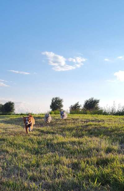 42.Fotochallenge - Eure schönen Momente beim Spaziergang-Beitrag-Bild