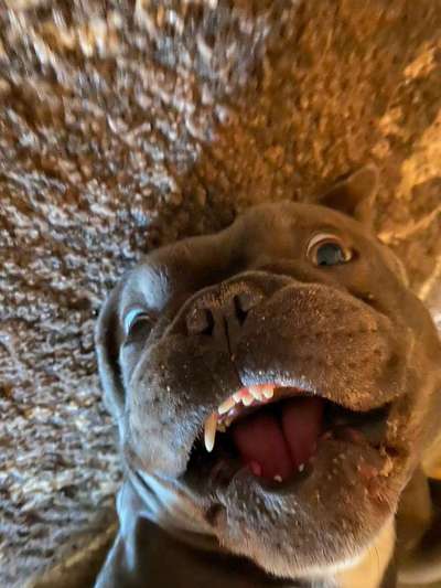 Her mit dem Grimassen-Beitrag-Bild