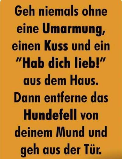 Küsst ihr eure Hunde?-Beitrag-Bild