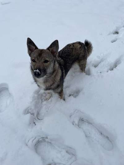 Doppelgänger gesucht !-Beitrag-Bild