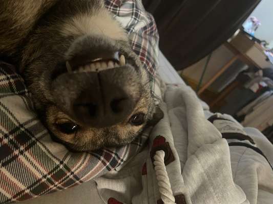 Handy-foto Challange nr. 11-Beitrag-Bild