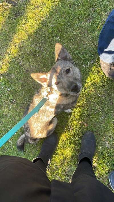 Handy-Foto Challange Nr. 10-Beitrag-Bild