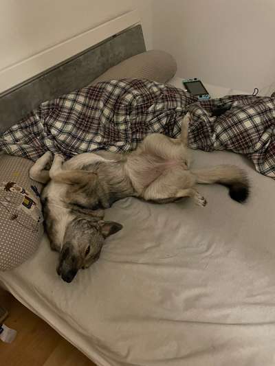 Relaxen im bett-Beitrag-Bild