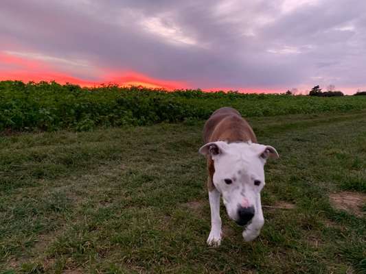 Zeigt mir eure Lieblingsfotos ♡♡-Beitrag-Bild